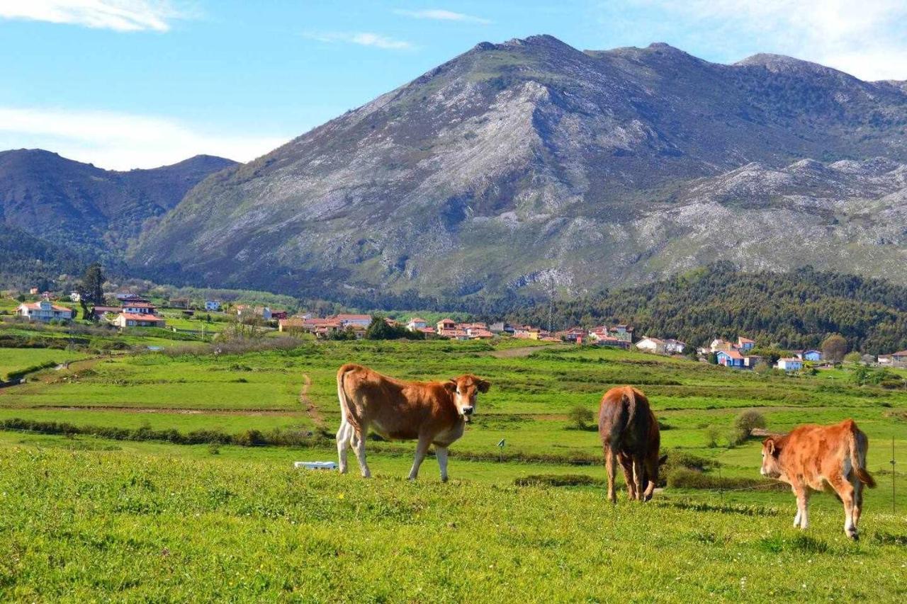 Rincon Con Piscina En Picos De Europa Lägenhet Onís Exteriör bild
